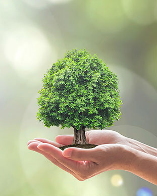 Sustainability Initiatives