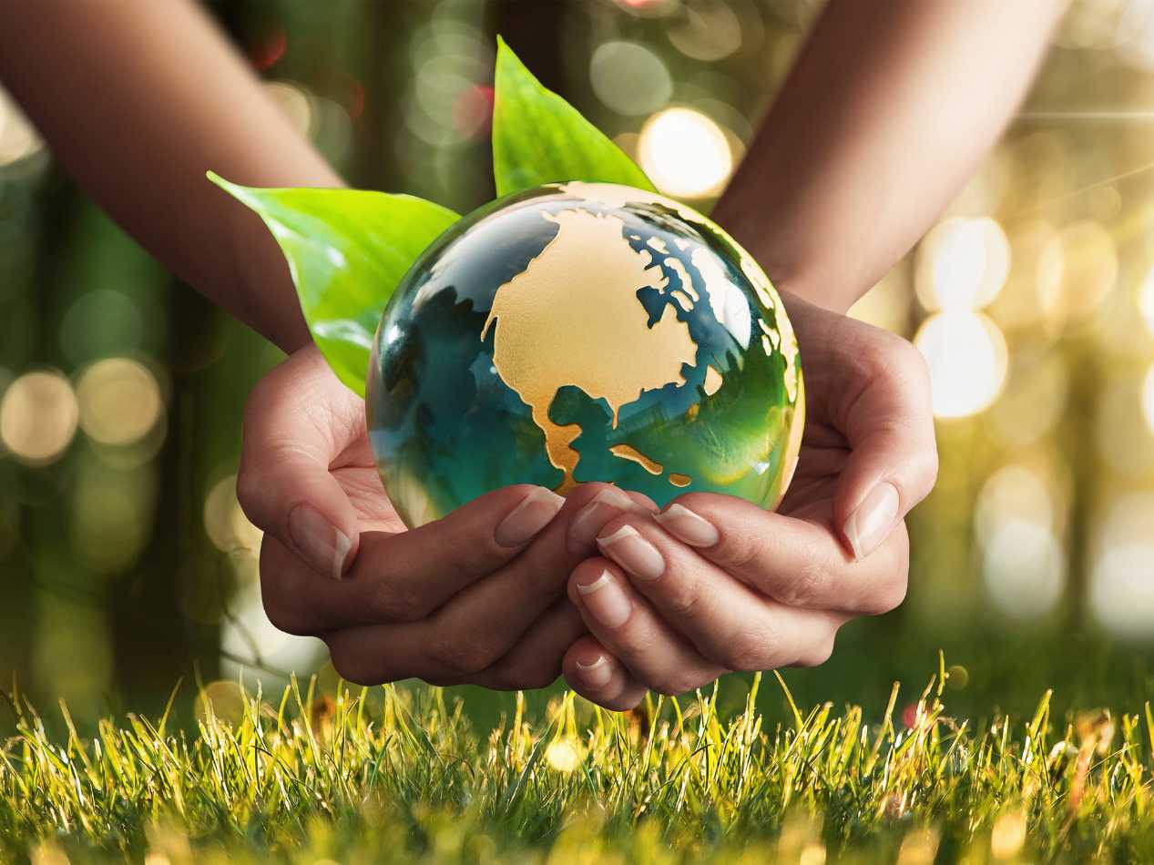 Implementation of Environmental Roadmap