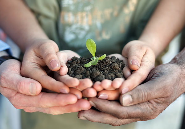 Sustainability