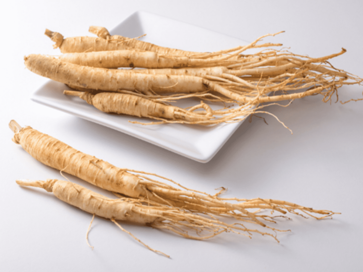 Cleaned ginseng root on a table on a plate