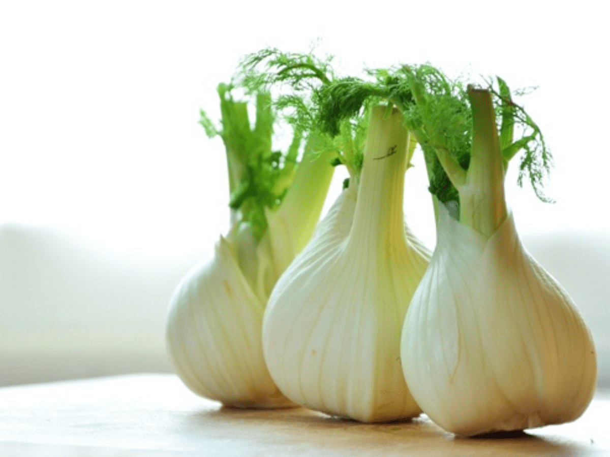 Bunch of fennel on table