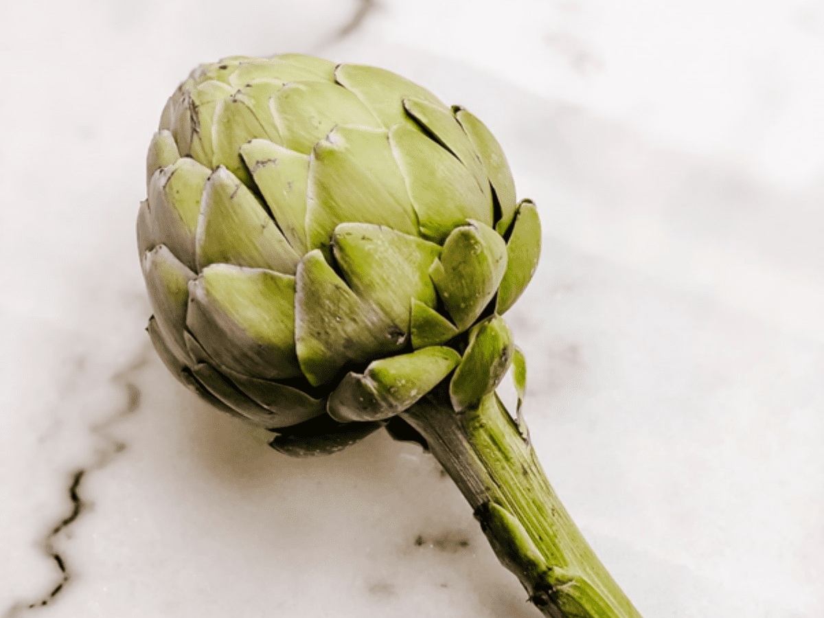 Globe Artichoke on table.